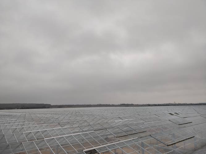 Greenhouse structure